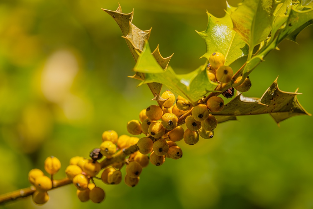 Herbstzeit - Wanderzeit