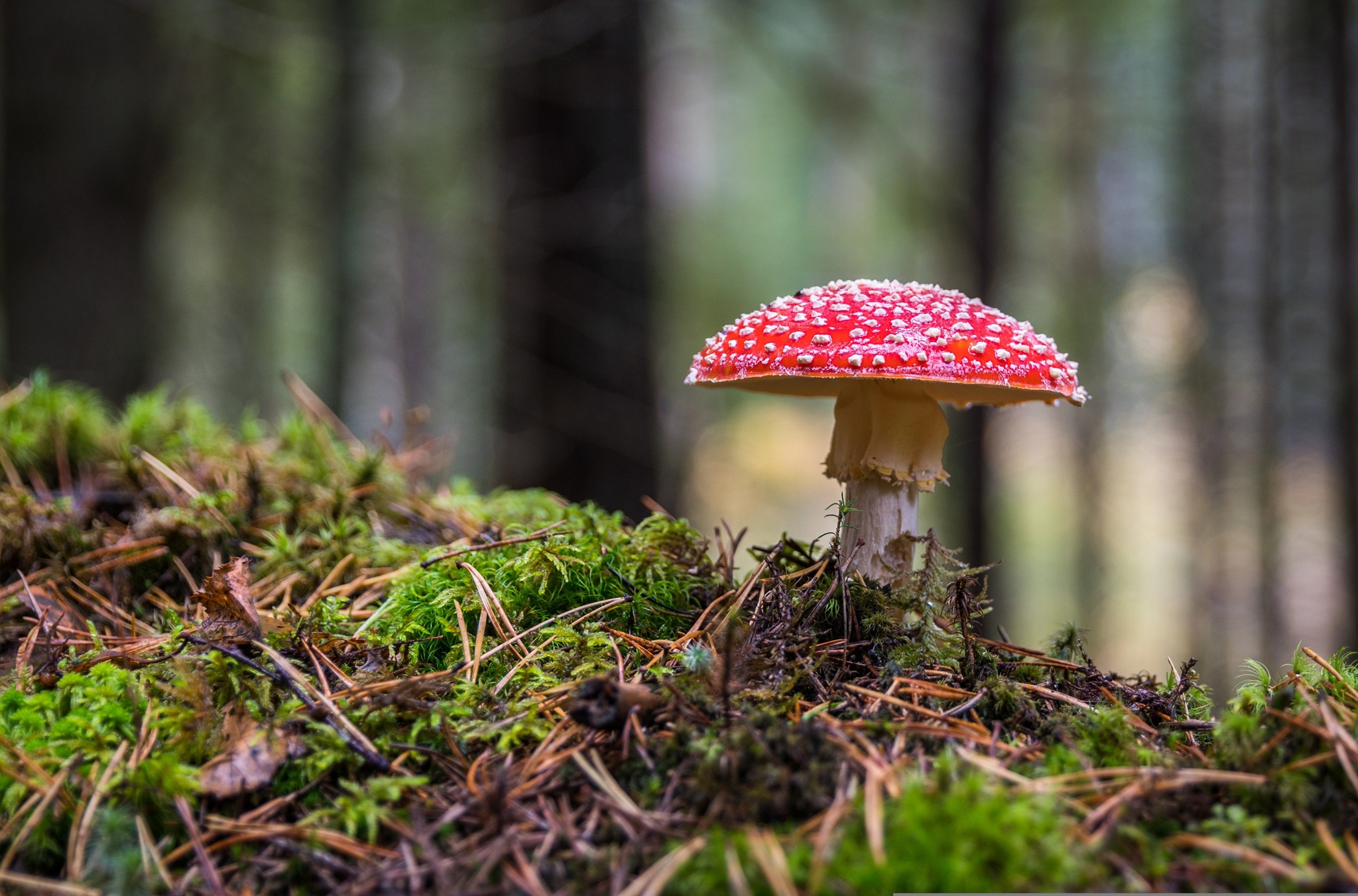 Herbstzeit - Wanderzeit