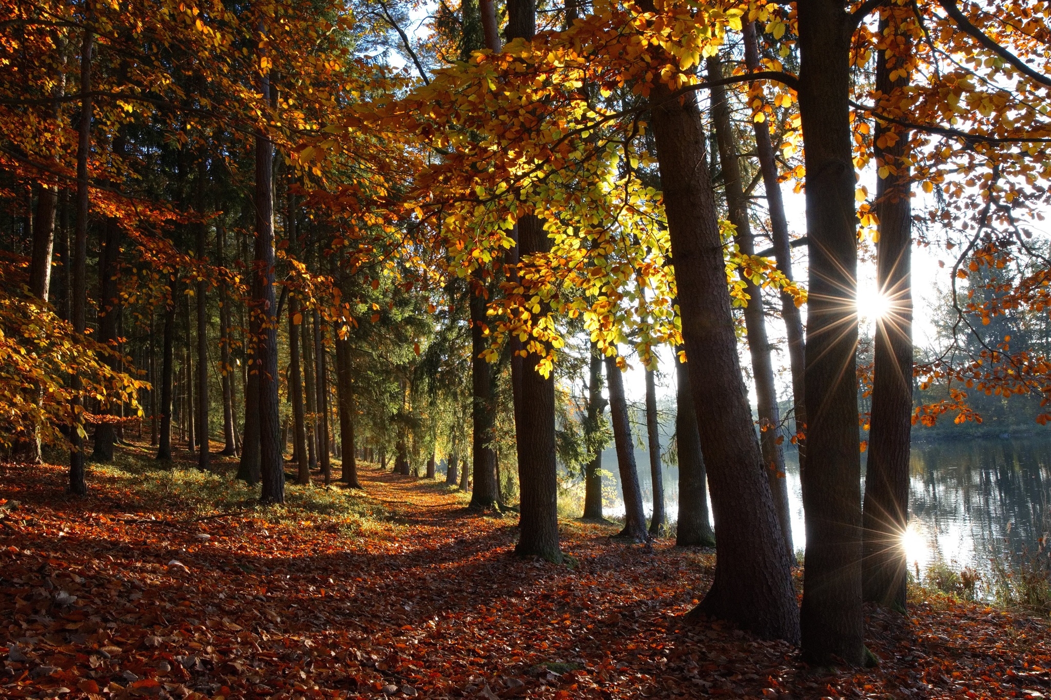 Herbstzeit - Wanderzeit